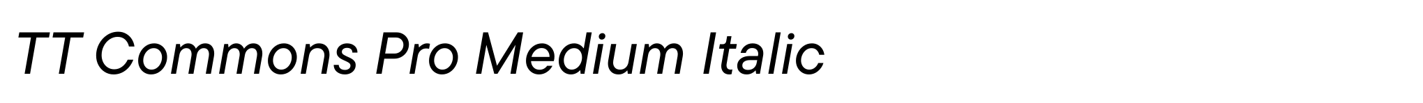 TT Commons Pro Medium Italic image